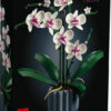 Lego 10311 Creator Expert Orchid για 18+ ετών