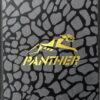 Apacer Panther AS340 960GB AP960GAS340G-1