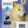 Epson T0962 Cyan Inkjet Cartridge
