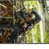 Panasonic TX-43HXW904 Smart 4K UHD 43"
