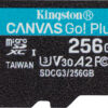 Kingston Canvas Go! Plus microSDXC 256GB Class 10 U3 V30 A2 UHS-I (SDCG3/256GBSP)