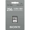 Sony SDXC E series 256GB UHS-II Class 10 U3 V60